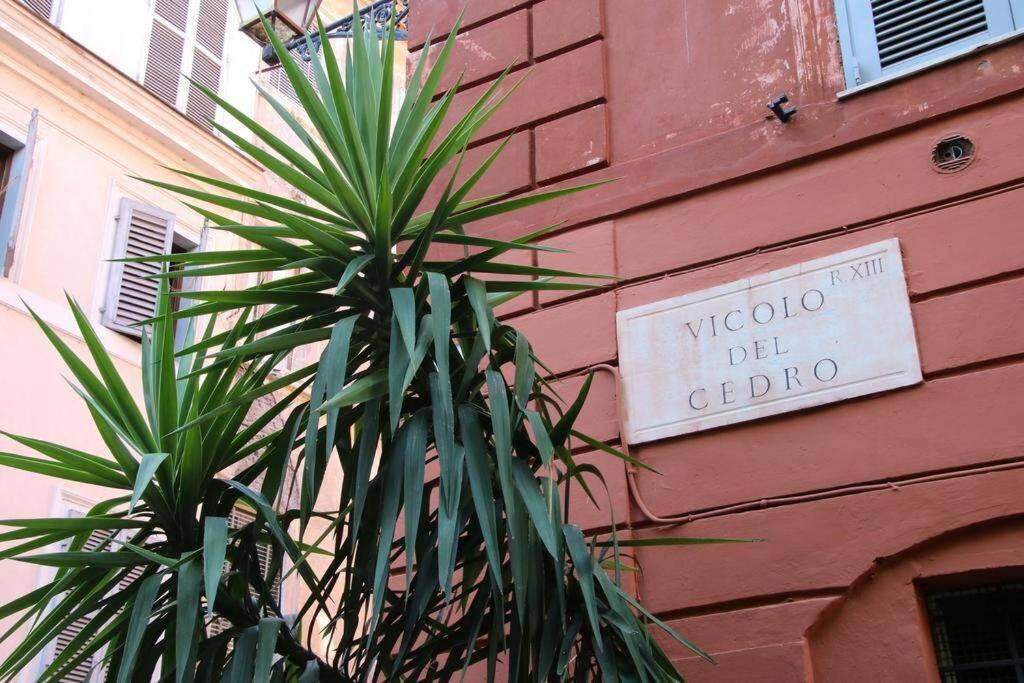 Apartment Cedro Rom